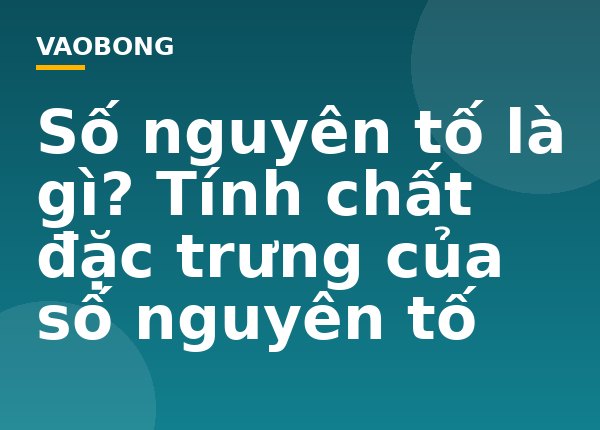Số nguyên tố là gì? Tính chất đặc trưng của số nguyên tố