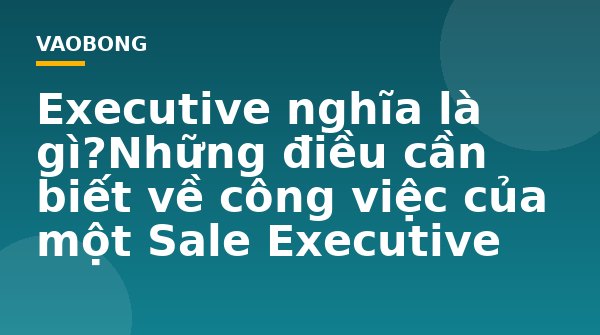 Executive nghĩa là gì?Những điều cần biết về công việc của một Sale Executive
