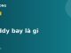 Caddy bay là gì