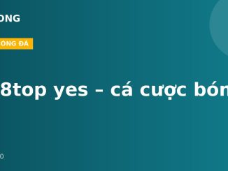 W88top yes – cá cược bóng đá