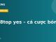 W88top yes – cá cược bóng đá
